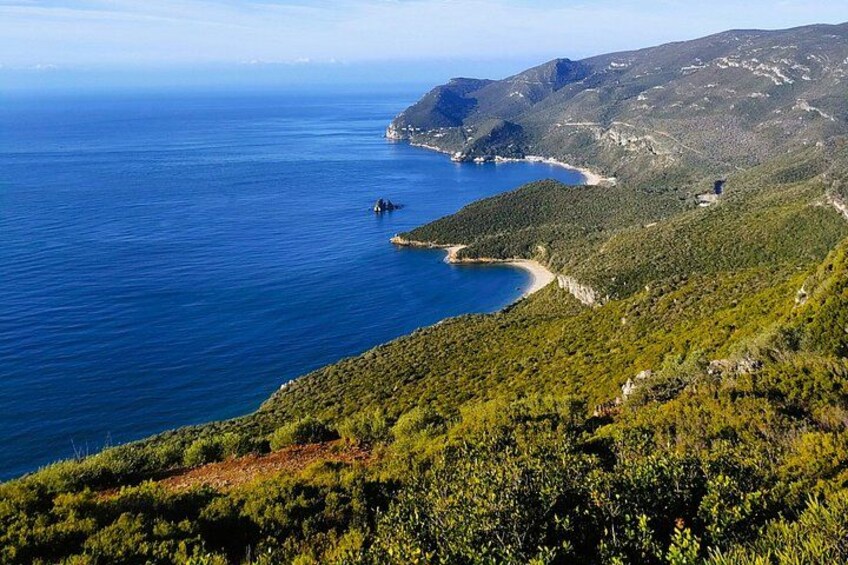 Un paysage côtier offrant une vue dégagée sur la mer, une plage de sable et une végétation luxuriante. 3