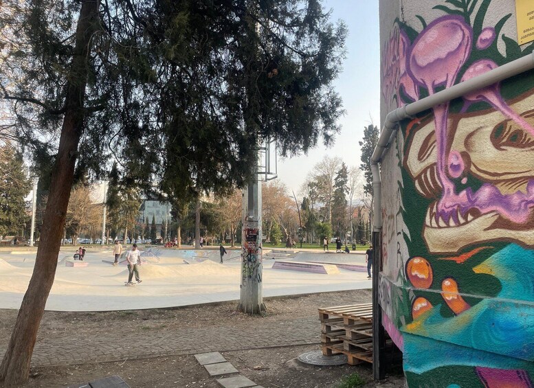 A skate park with graffiti on a wall and a tree in the foreground. 4