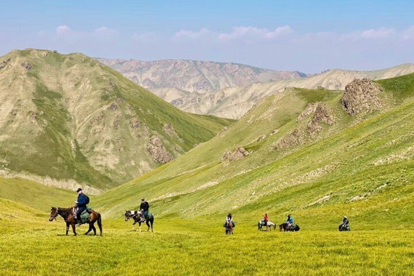 Un grupo de personas montando a caballo por un campo cubierto de hierba, con montañas al fondo. 4