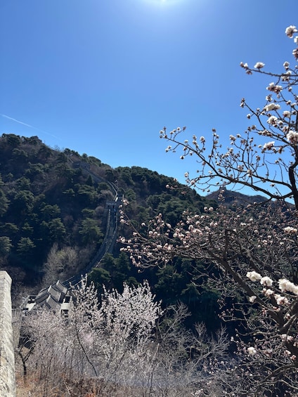A mountainous landscape with a traditional stone wall and a stone bridge. 3