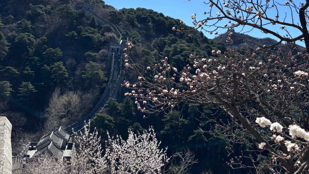 Beijing: Great Wall, Acrobatics Show, & Peking Duck Tour 2