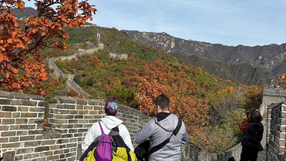 Picture 7 for Activity Beijing: Great Wall, Acrobatics Show, & Peking Duck Tour 3