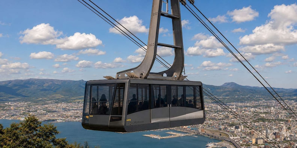 Picture 15 for Activity Hakodate Driver-Guide Charter: Goryokaku & Mt. Hakodate 5