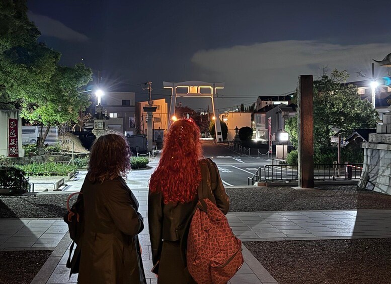 Osaka: Night view and Jinjya tour 1