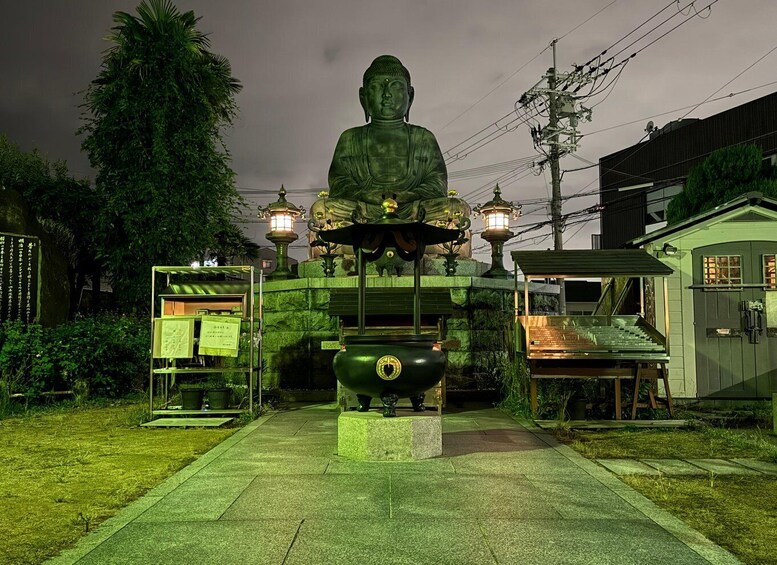 Picture 4 for Activity Osaka: Night view and Jinjya tour 4