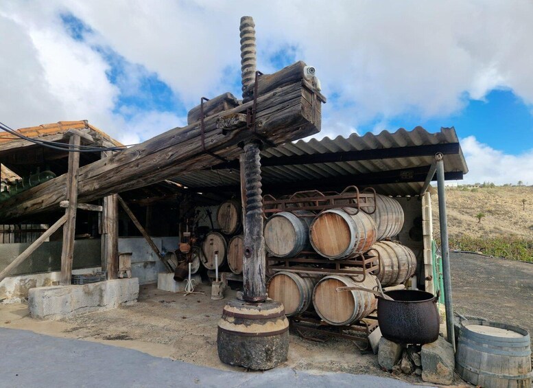 Picture 6 for Activity Private Excursion: Gran Canaria Highlights & Wine Tour 5