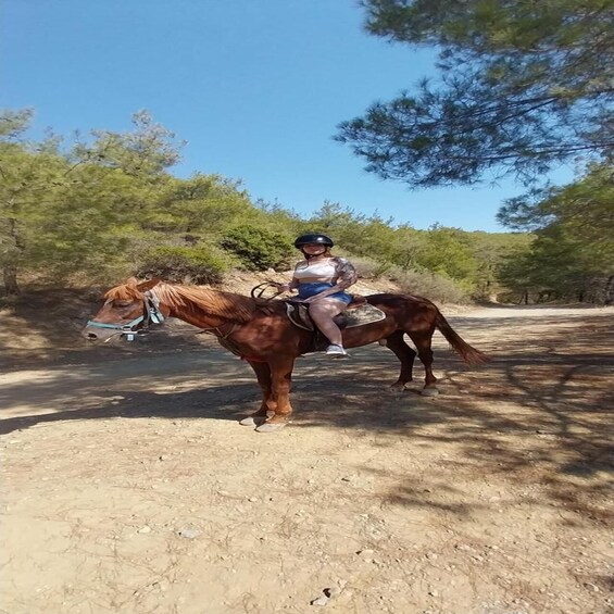 A person riding a horse on a dirt path with trees in the background. 5