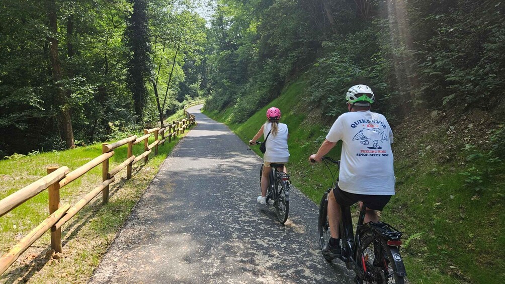 Picture 5 for Activity Moscato di Scanzo: E-bike tour with wine tasting 3