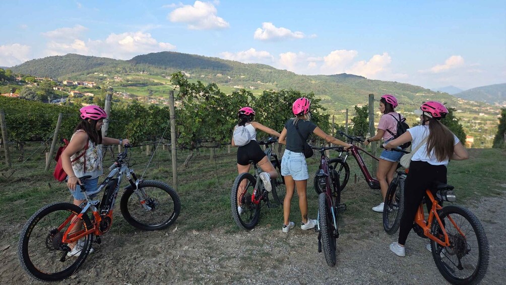 Picture 6 for Activity Moscato di Scanzo: E-bike tour with wine tasting 2