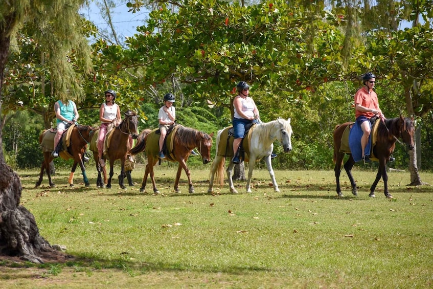 Picture 1 for Activity Antigua: Horseback Riding at Royalton or Dickenson Bay 3