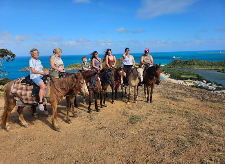 Picture 5 for Activity Antigua: Horseback Riding at Royalton or Dickenson Bay 4