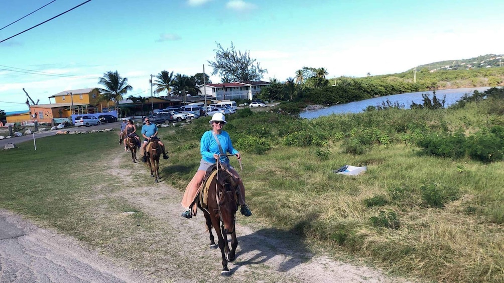 Antigua: Horseback Riding at Royalton or Dickenson Bay 1