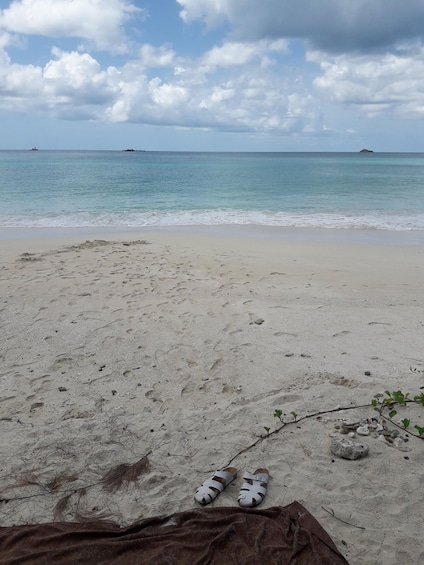 Picture 3 for Activity Antigua: Horseback Riding at Royalton or Dickenson Bay 5