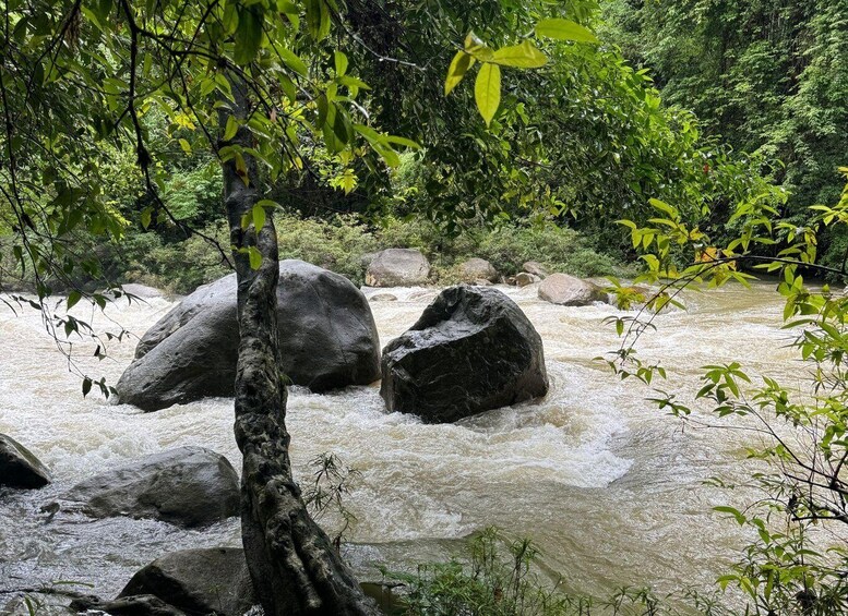 A fast-flowing river with large rocks and dense green foliage. 3