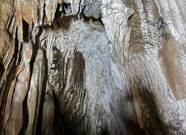 A close-up of a cave wall with stalactites and stalagmites. 4