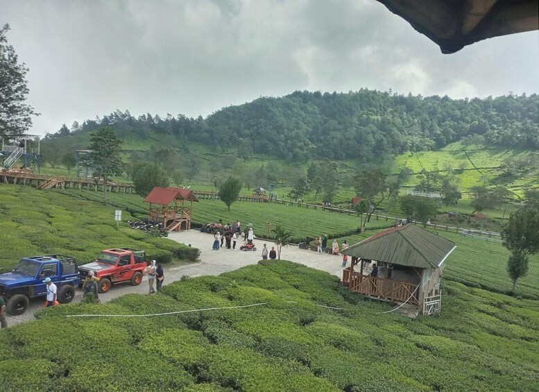 Picture 12 for Activity Dieng Plateau Tour (Natural Beauty of Java) from Yogya 2