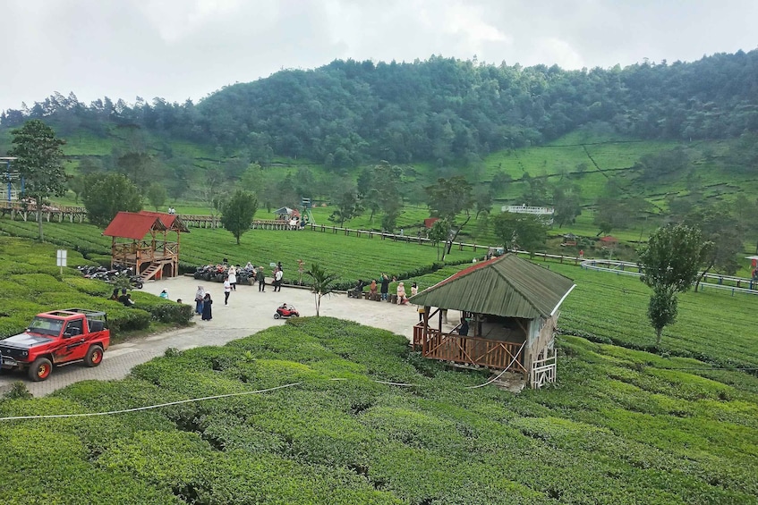 Picture 12 for Activity Dieng Plateau Tour (Natural Beauty of Java) from Yogya 2