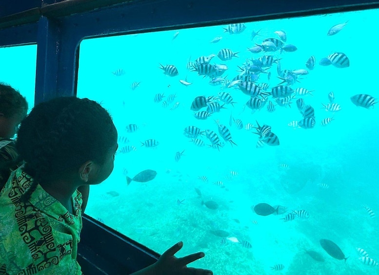 A person observing fish through a glass window. 2