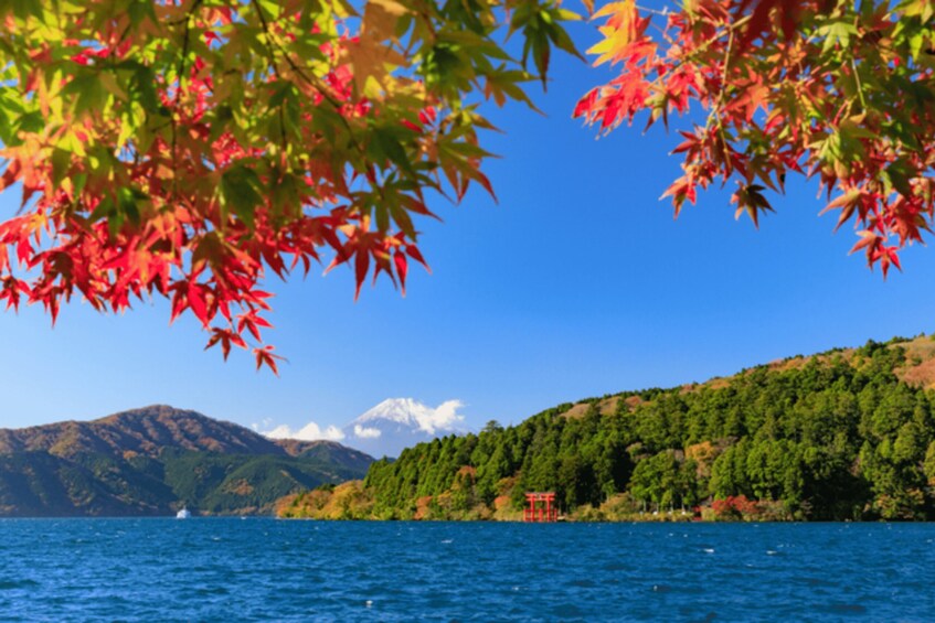 A lake with red maple leaves, a red torii gate, and a mountain in the background. 5