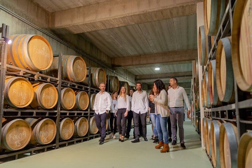Alicante Premium Winery Tour with 7 Tastings and Expert Guide 3