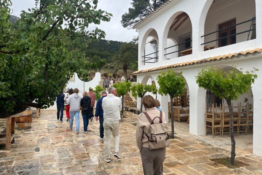 Alicante Premium Winery Tour with 7 Tastings and Expert Guide 2