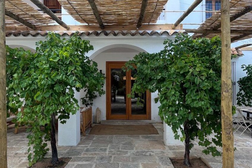 Alicante Premium Winery Tour with 7 Tastings and Expert Guide 5