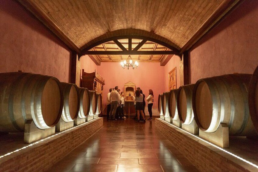 Alicante Premium Winery Tour with 7 Tastings and Expert Guide 2