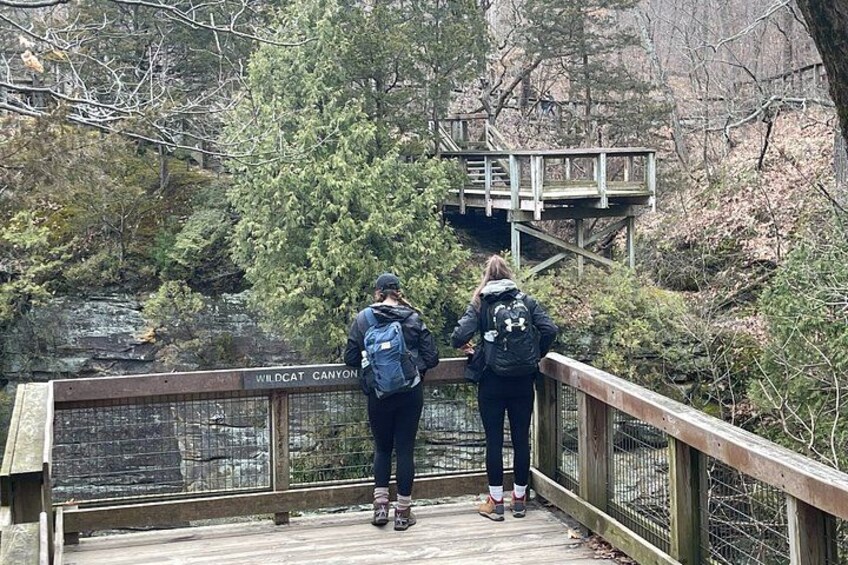 Deux personnes se tiennent sur un pont en bois, et une pancarte indique : « Wildcat Canyon ». 3