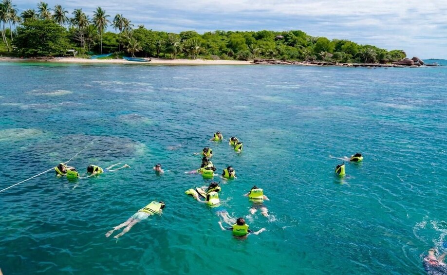 People swimming in a clear blue sea with a beach and palm trees in the background. 1