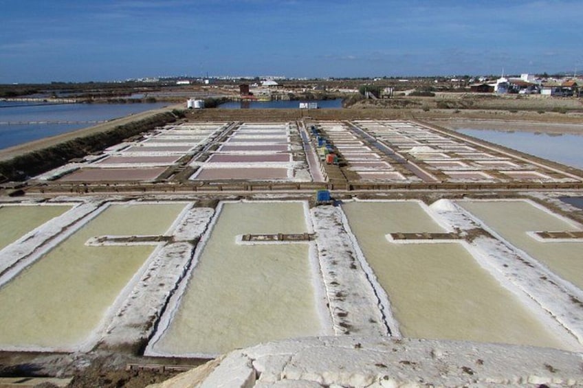 Olhão and Salinas do Grelha Tour Culture Market Visita Wellness 2