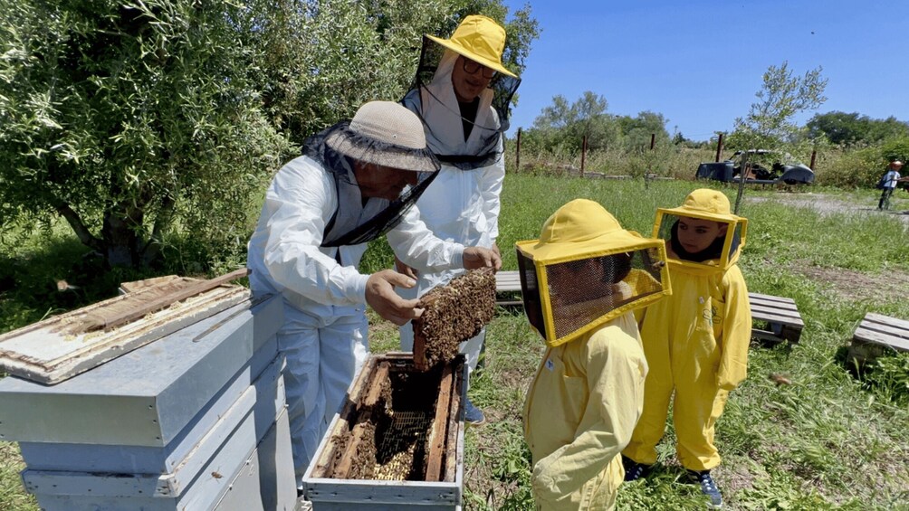 A person in a white suit and yellow hat handling a beehive, with a child in a yellow suit and protective gear observing. 2