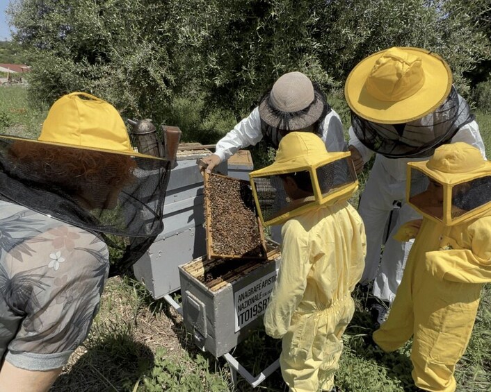 Beekeepers in yellow protective suits inspecting a beehive. 3
