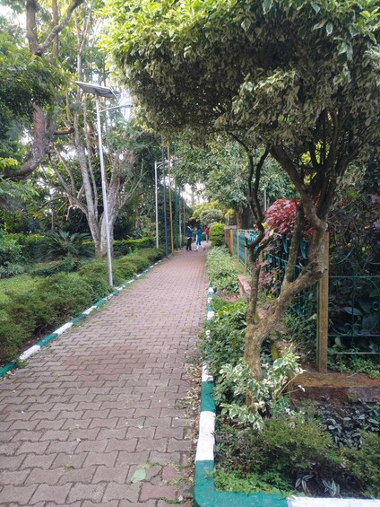 Picture 16 for Activity Nandi hills Day tour with breakfast From Bengaluru 3