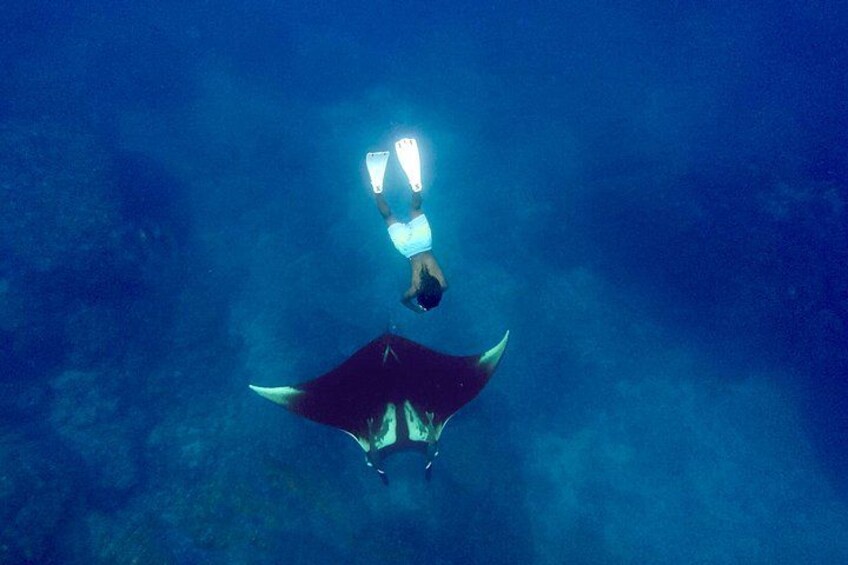 Una persona buceando con aletas y máscara, rodeada de un entorno submarino azul. 3