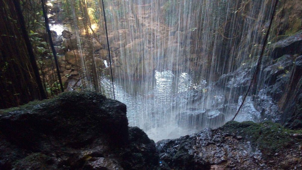 A waterfall in a forested area with rocks and moss. 1