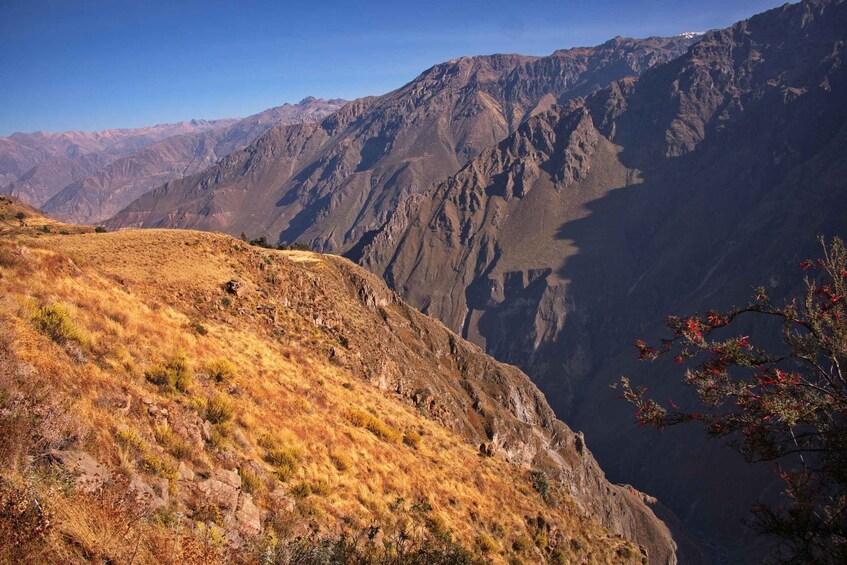 A mountainous landscape with a clear sky. 4