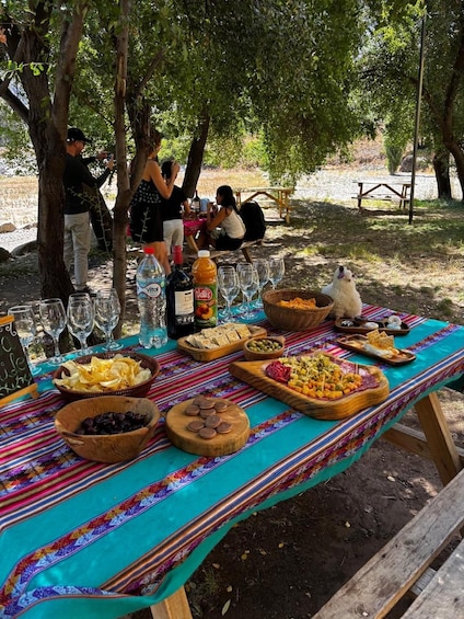 An outdoor picnic with a table set with food and drinks, surrounded by trees. 3