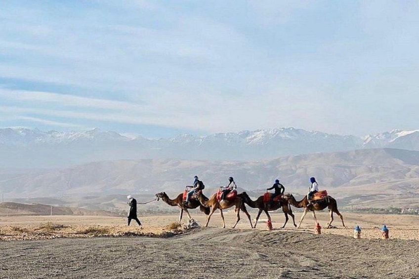 Agafay Desert Adventure: Quad, Camel Ride, Pool & Lunch 5