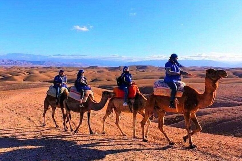 Agafay Desert Quad Biking Camel Ride Lunch and Pool Access 3