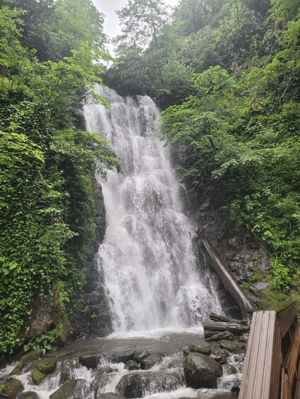 Picture 1 for Activity Batumi: Private Ajarian Mountains Tour with Waterfalls 3