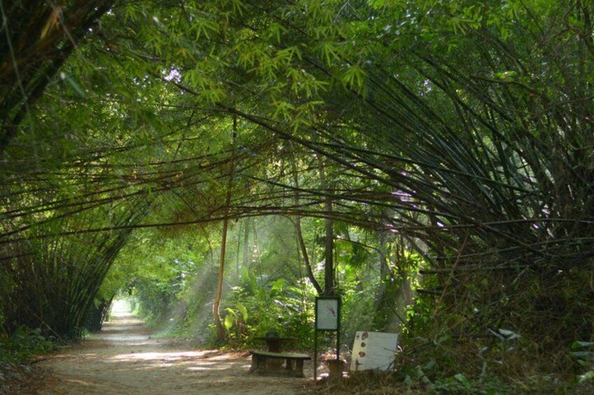 Peperpot hiking trail and historical tour 1