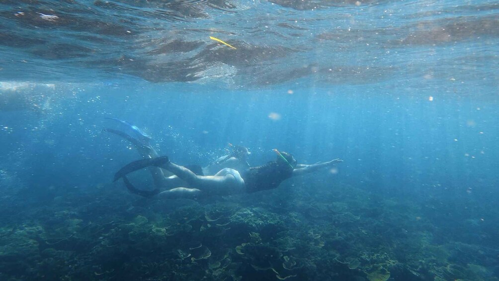 Picture 18 for Activity DAR ES SALAAM: MBUDYA ISLAND SNORKELING TOUR & BEACH VIBES 4