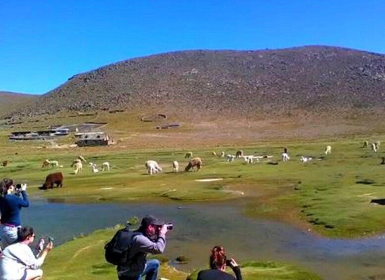 Picture 4 for Activity AREQUIPA: Classic Tour to the Colca Canyon 2 Days 1 night 2
