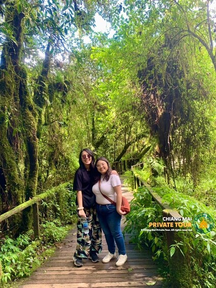 Picture 40 for Activity Chiang Mai: Doi Inthanon Private Highlights (No Hiking) 5