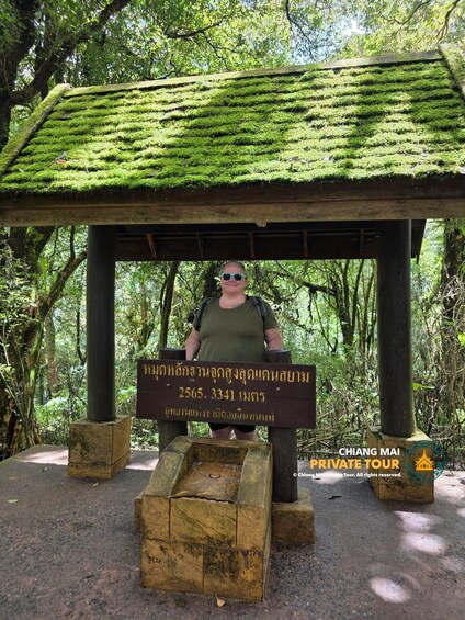 A person standing under a moss-covered structure with a sign in a forested area. 2