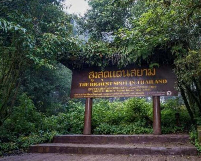 A sign in a forested area with text in a non-English language, surrounded by dense greenery. 2