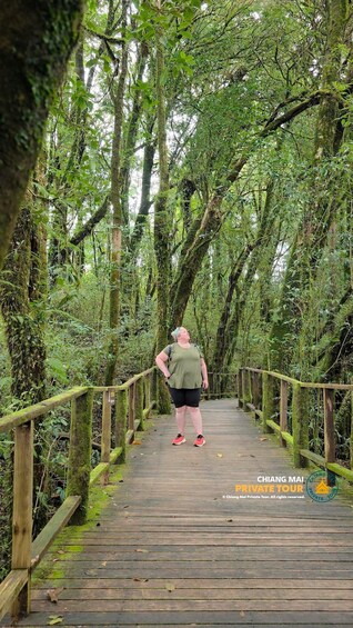 A person walking on a wooden bridge surrounded by lush greenery and trees. 3