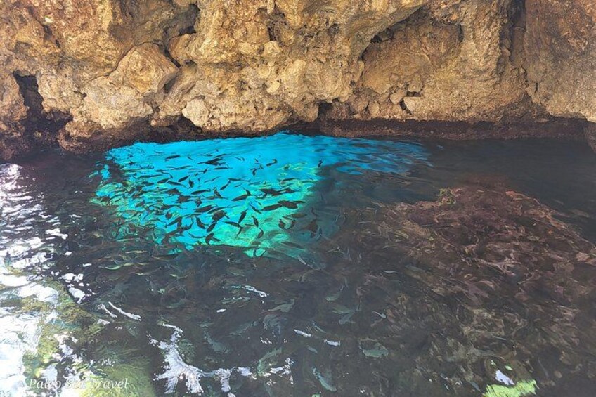 Corfu Paleokastritsa Sea Caves and Stelari Beach speedboat trip 3