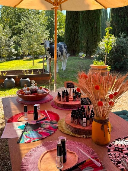 Picture 6 for Activity San Gimignano: Create your Own Perfume with Wine & Relax 4