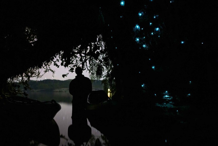A silhouette of a person standing by a body of water with trees and a mountain in the background. 4